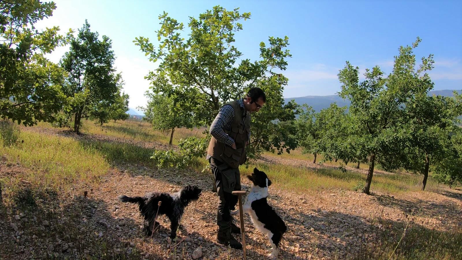 caccia tartufo degustazione